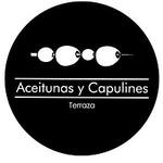 Logotipo Aceitunas y Capulines
